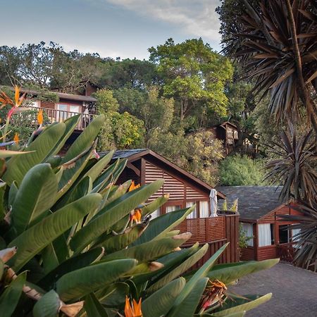 Under Milkwood Resort Knysna Luaran gambar